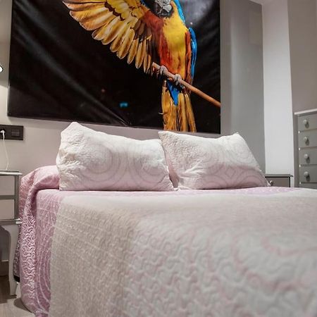 Ateca Apartamento Ventanal מראה חיצוני תמונה